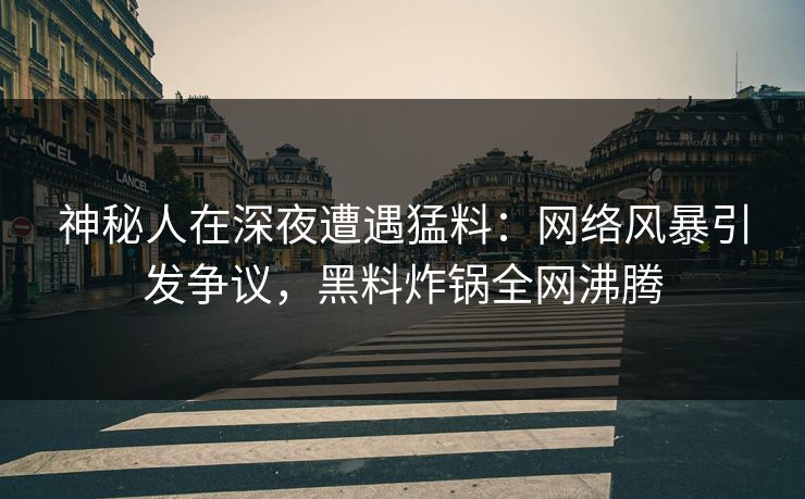 神秘人在深夜遭遇猛料：网络风暴引发争议，黑料炸锅全网沸腾